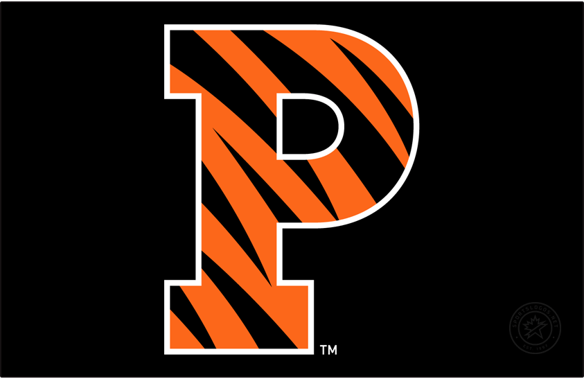 Princeton Tigers 2004-Pres Primary Dark Logo diy DTF decal sticker